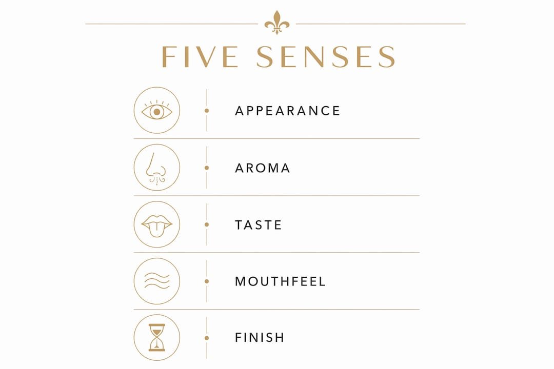 Infographic showing five beer tasting stages