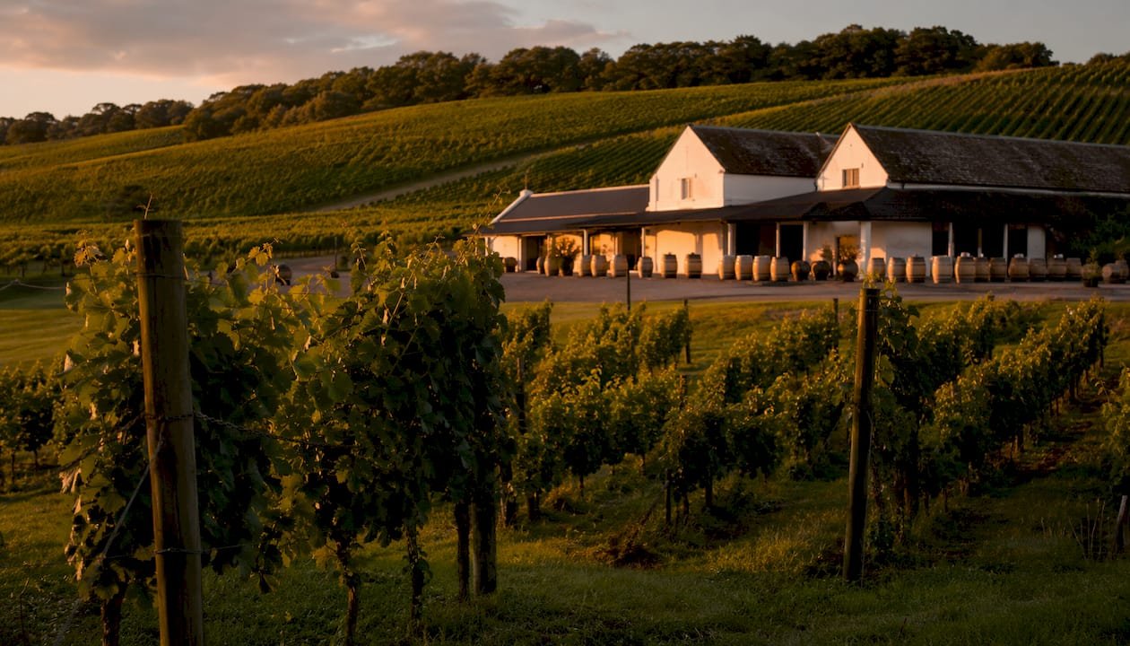 Nyetimber vineyard landscape in East Sussex
